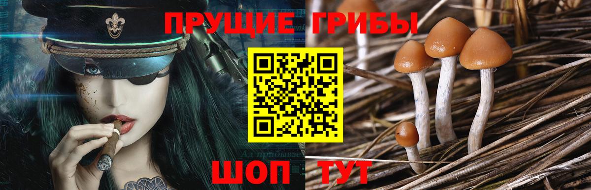 Галлюциногенные грибы GOLDEN TEACHER Лесозаводск