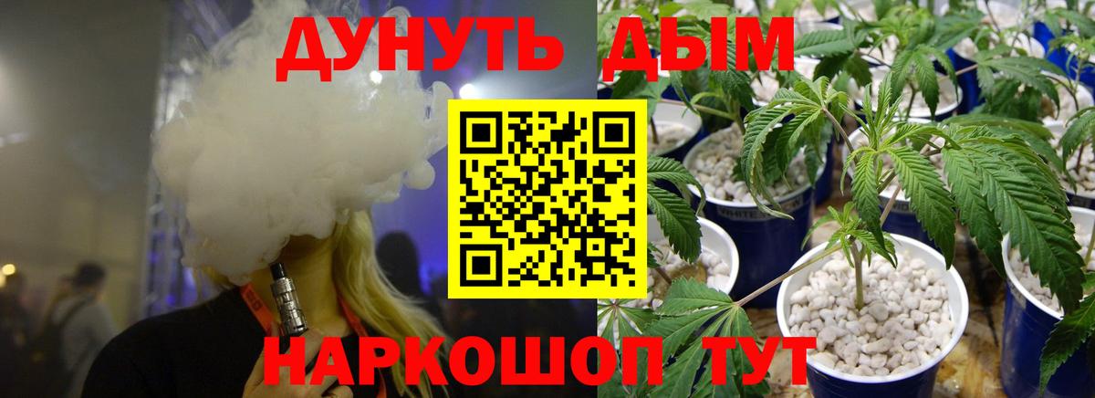 Каннабис план Лесозаводск